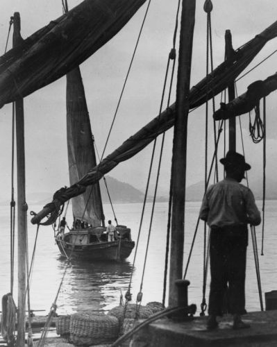 1800s photo Fishing boats, Rio de Janeiro, Brazil  