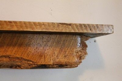   Antique rustic log display shelf, 1800s Worm wood Maple, set of two