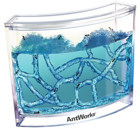 Ant Works Space Age Blue Habitat Created By Ants Nutrient Gel Farm 