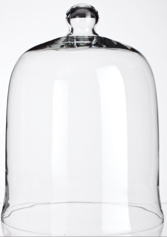 15.5 Large Glass Dome Cloche Upside Down Bell Jar Knob  