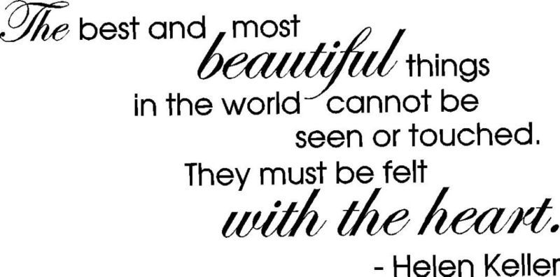 Helen Keller Quote Vinyl Wall Art Sticker Decal  