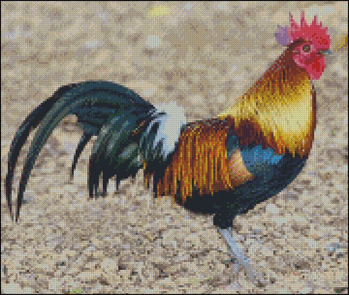 Rooster   Counted Cross Stitch Pattern   