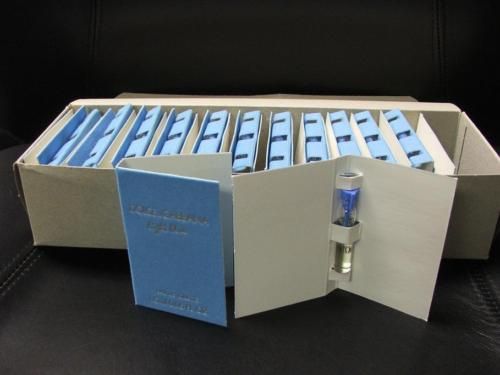 Lot of 100 Dolce & Gabbana Light Blue Women EDT Samples  