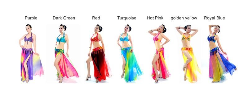   New Chiffon Belly Dance Costume Set 2Pics 8 Colors Bra/Belt  
