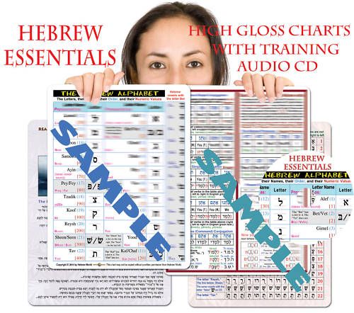 Hebrew Essentials Charts + CD   Grammar, Verbs, Reading  