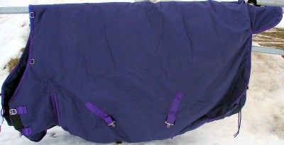 74 WATERPROOF Turnout Horse WINTER BLANKET 600D PURPLE  