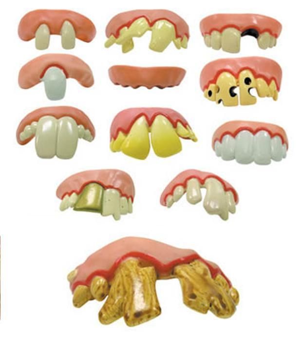 HALLOWEEN FAKE BUCK GOOFY ROTTEN TEETH CREEPY DENTURES  