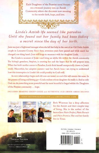 NEW Amish Romance Novel Plain Paradise (Daughters of Promise #4 